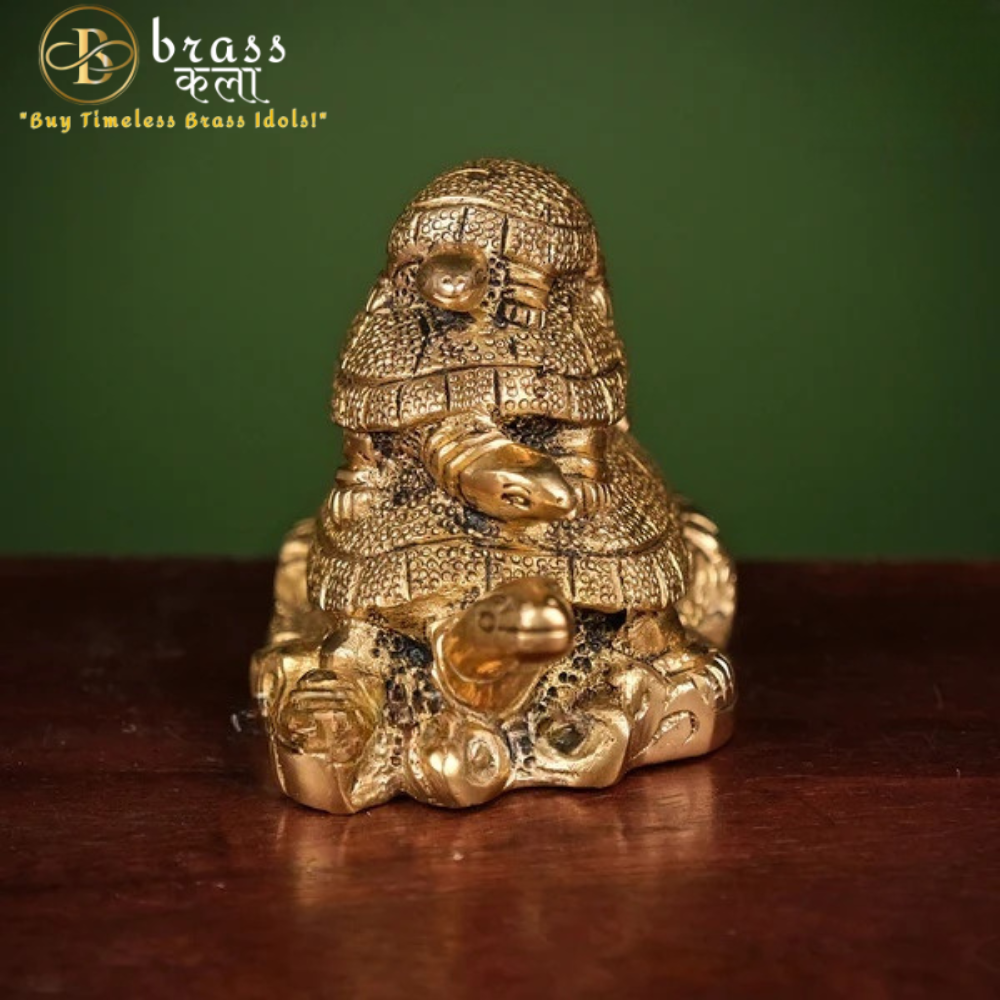 Brass Tortoise Vastu Family for Protection, Good Luck and Longevity