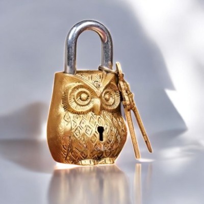 Brass Owl Lock with keys